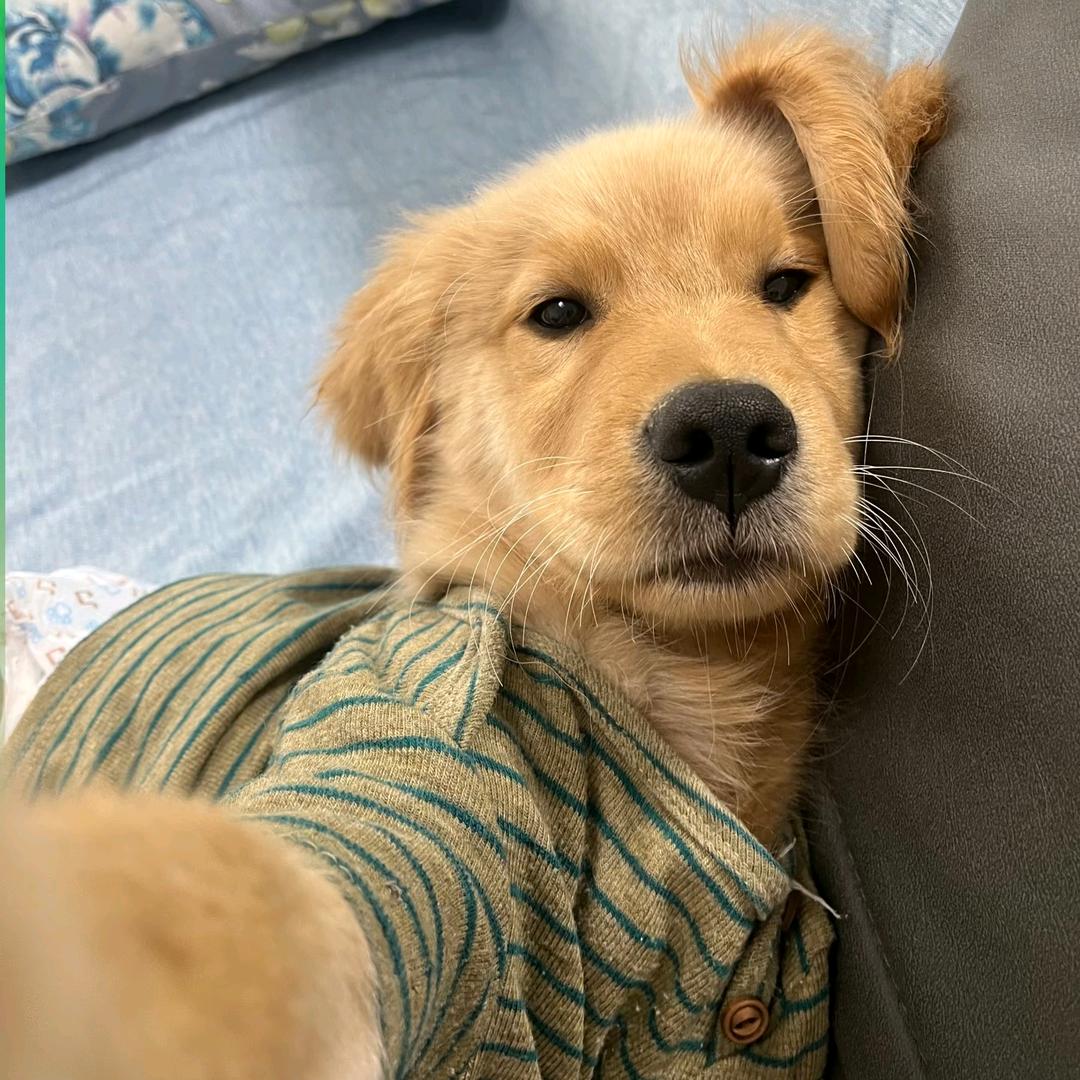 🏠宁波租房🐷宰羊哥哥