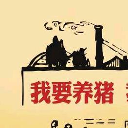 (赖墙)四川五好家庭养猪联盟负责人