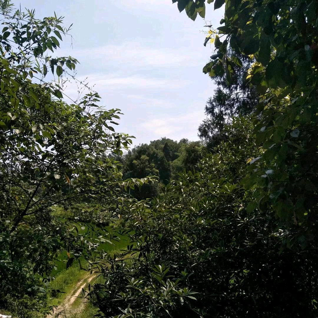 ᥫᦱᐝ岁月🌻⃟⸜静好ཀོ࿐