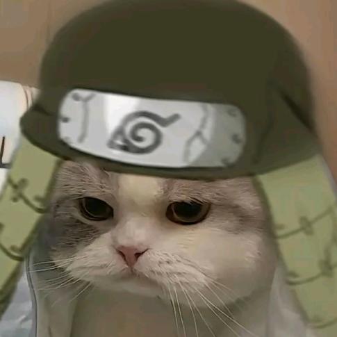 哒哒哒哒