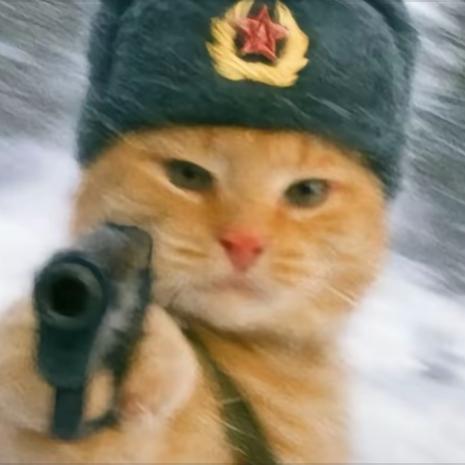 恒城精密电机轴承