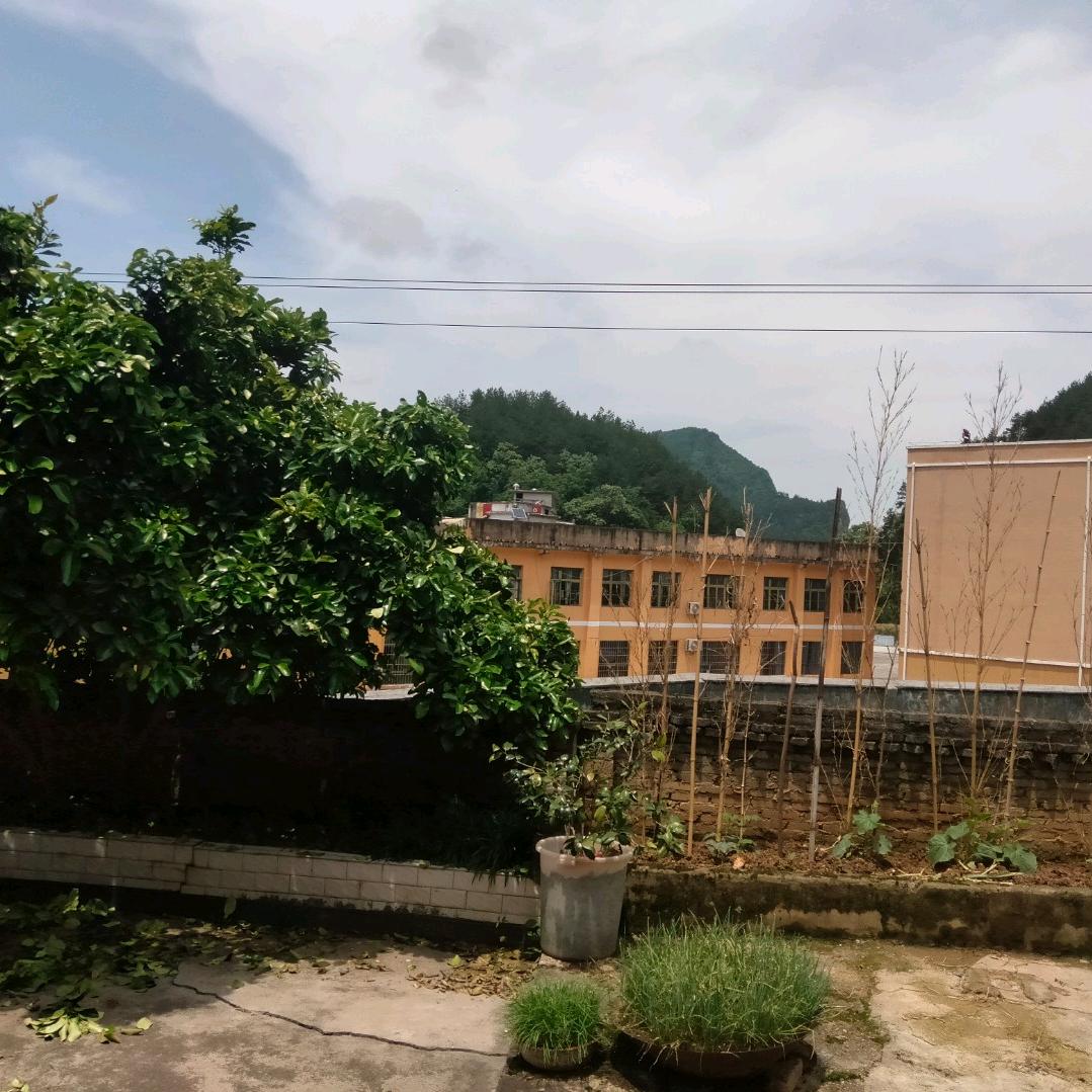 yangXⅰanlu