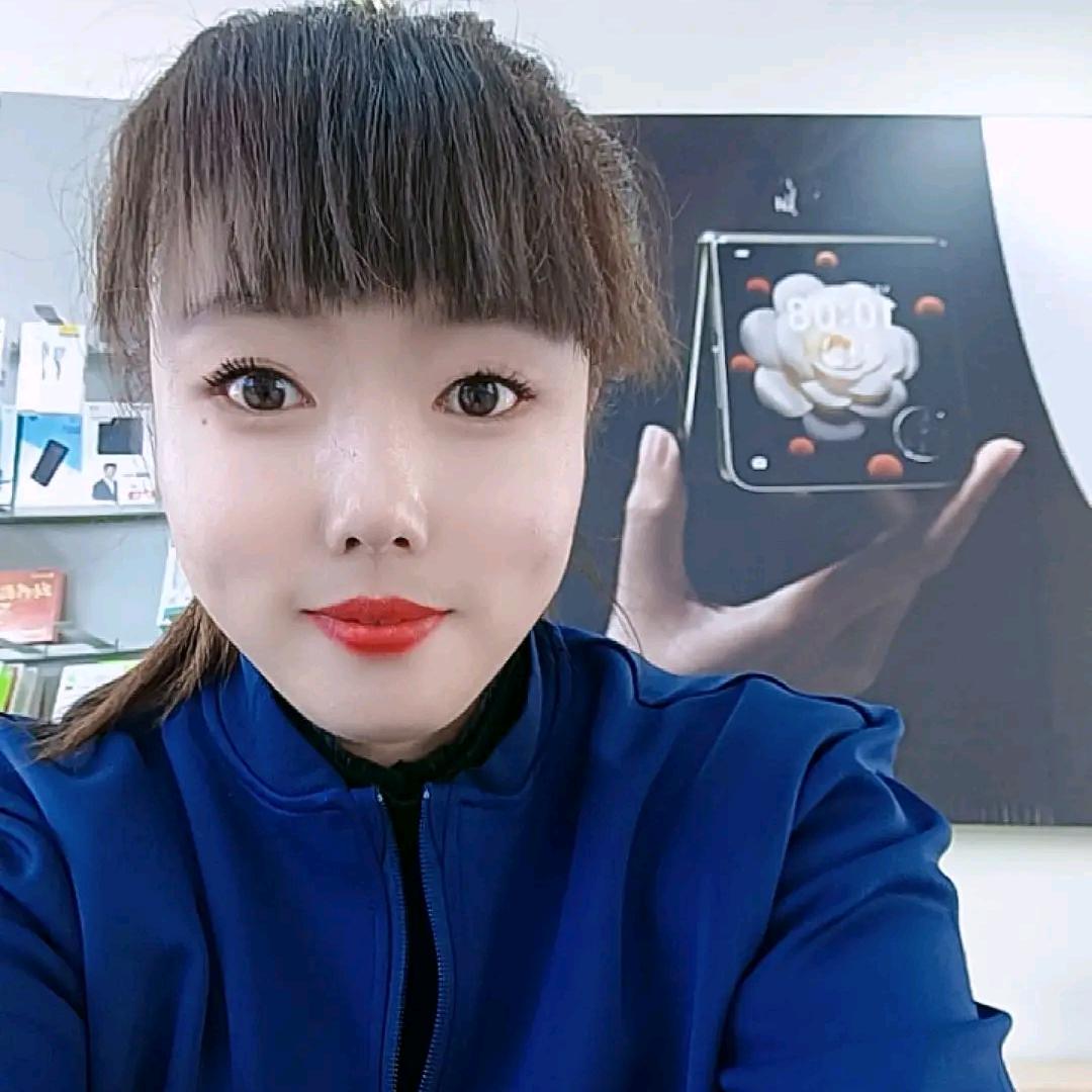 刘臻～手机咨询师