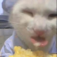 智者