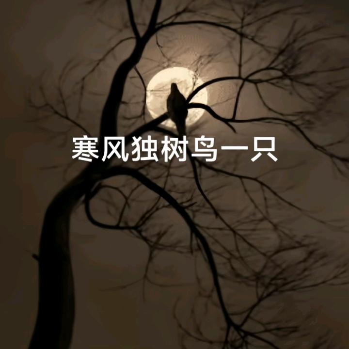 沙河