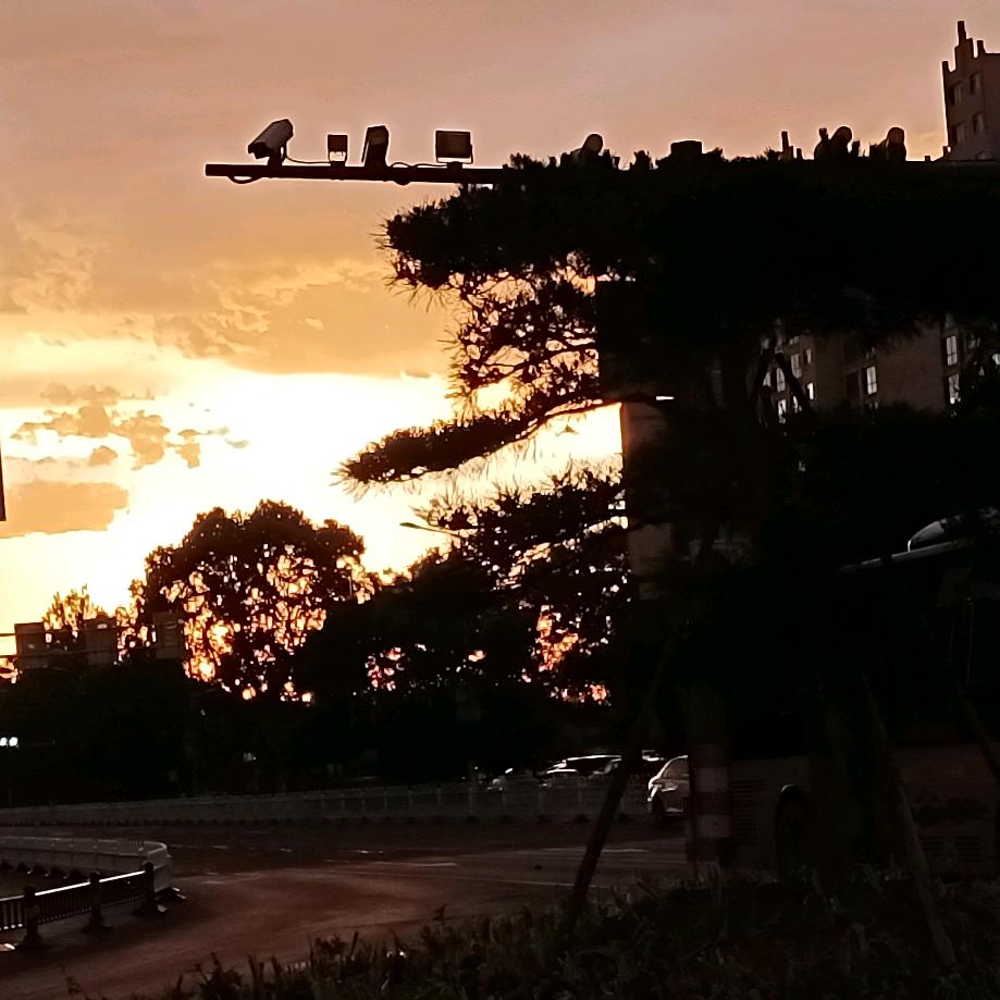 俗人一个发财💰发财💰