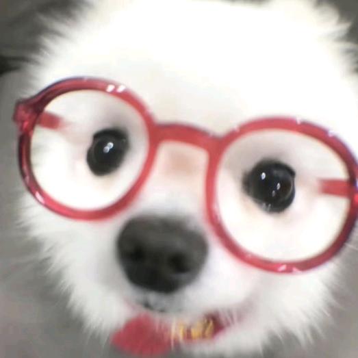 趣多多多多多大王