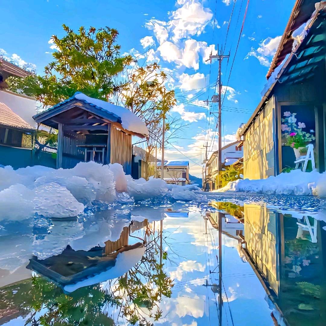 小周的蜜蜂🐝🐝