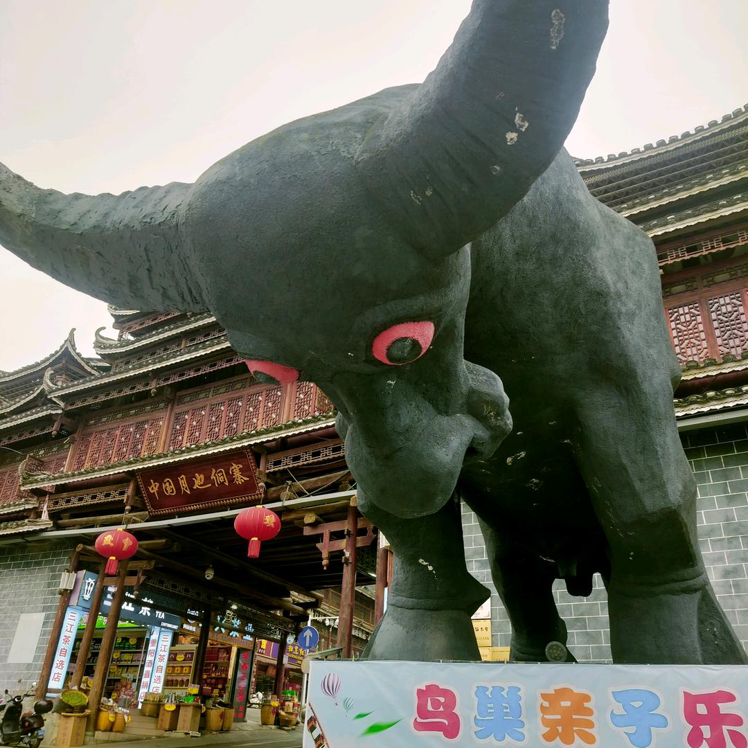 顺手牵（杨）〔榕江牛瘪〕