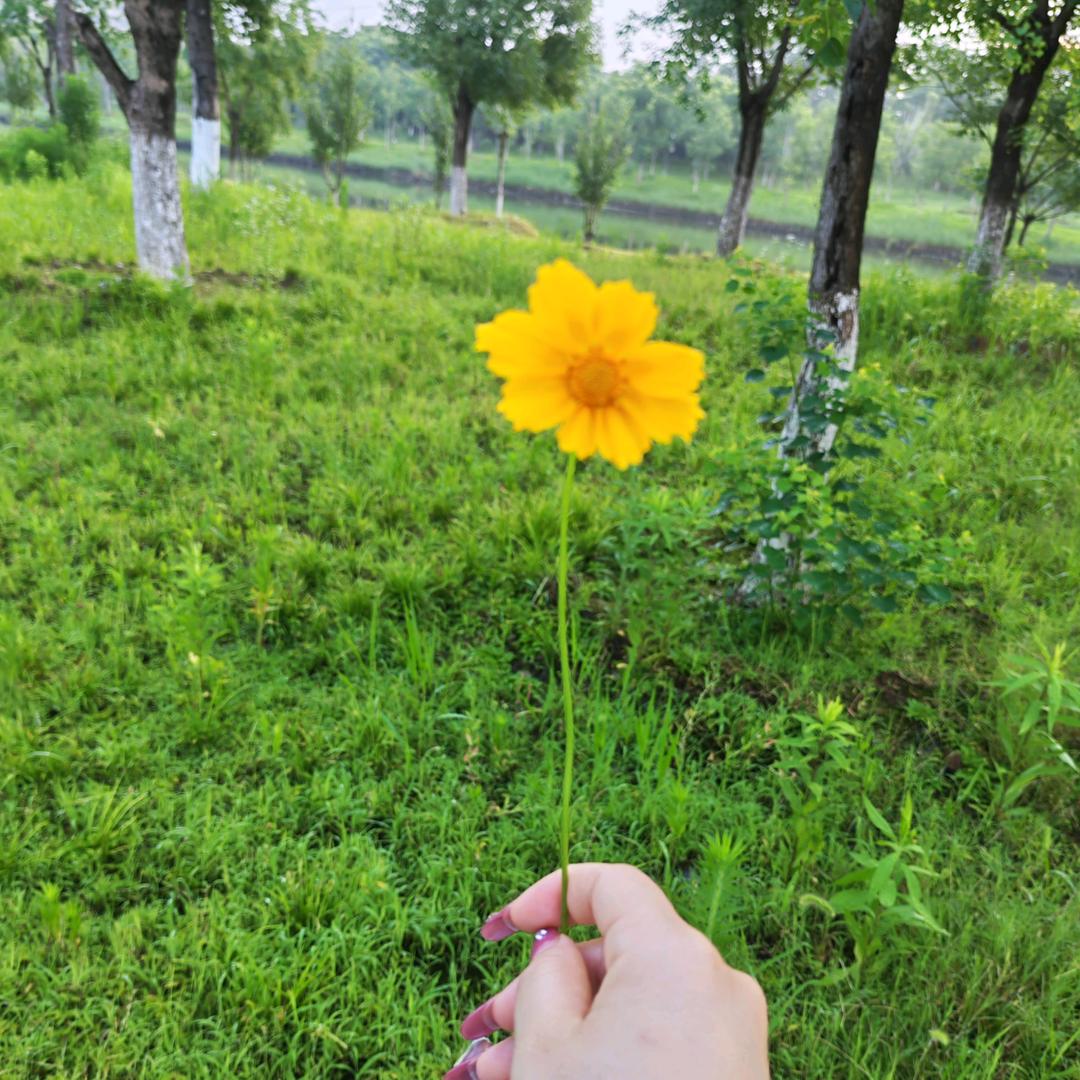 Li   ･ ᯅ･i ᰔᩚ