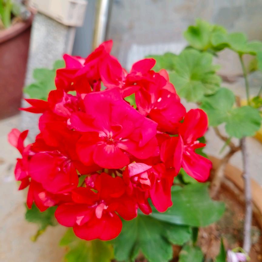 相亲相爱一家人