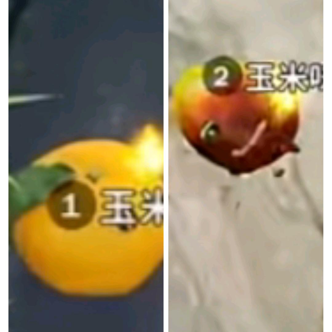 爱吃鲨鱼的玉米被橘子和芒果混合双打