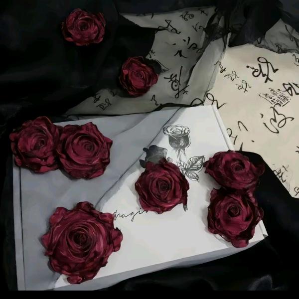 牵只蜗牛去散步