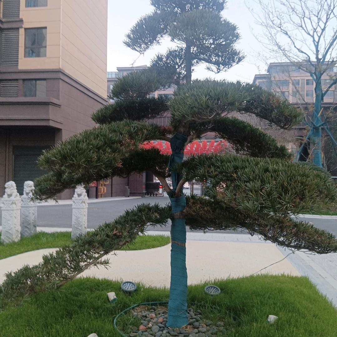 福如东海
