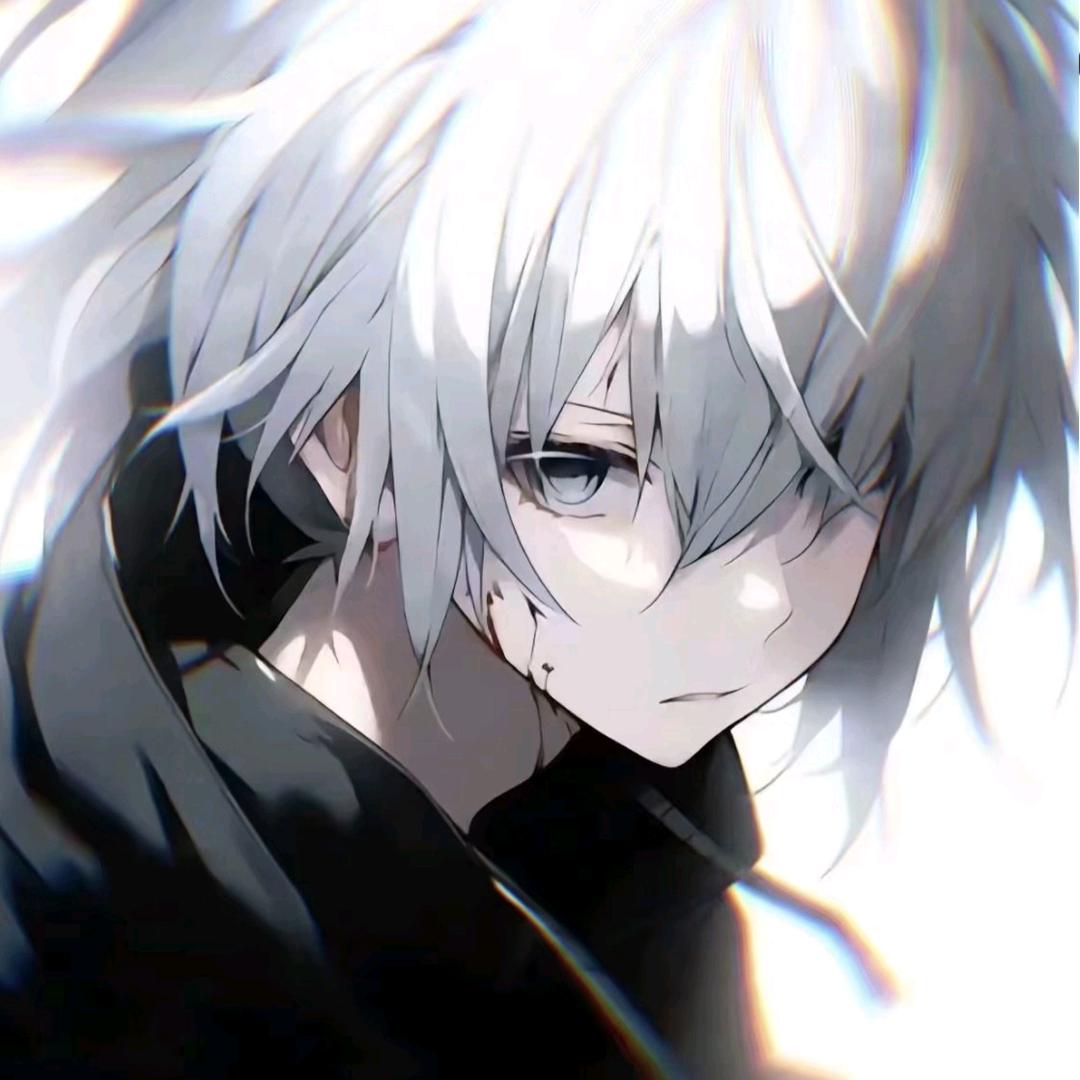 秦泽