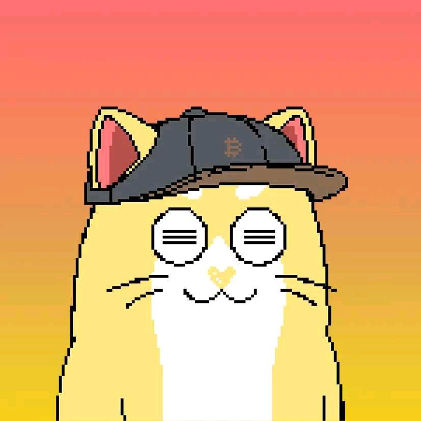 自由的布丁猫