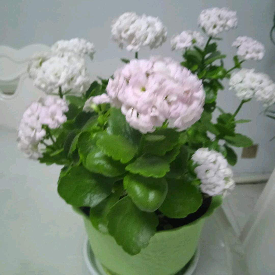 超越自我.