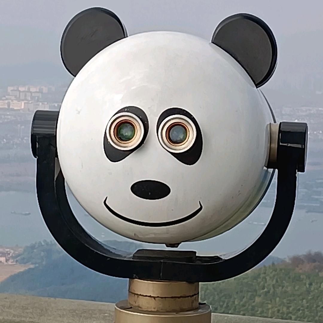 魏太宏