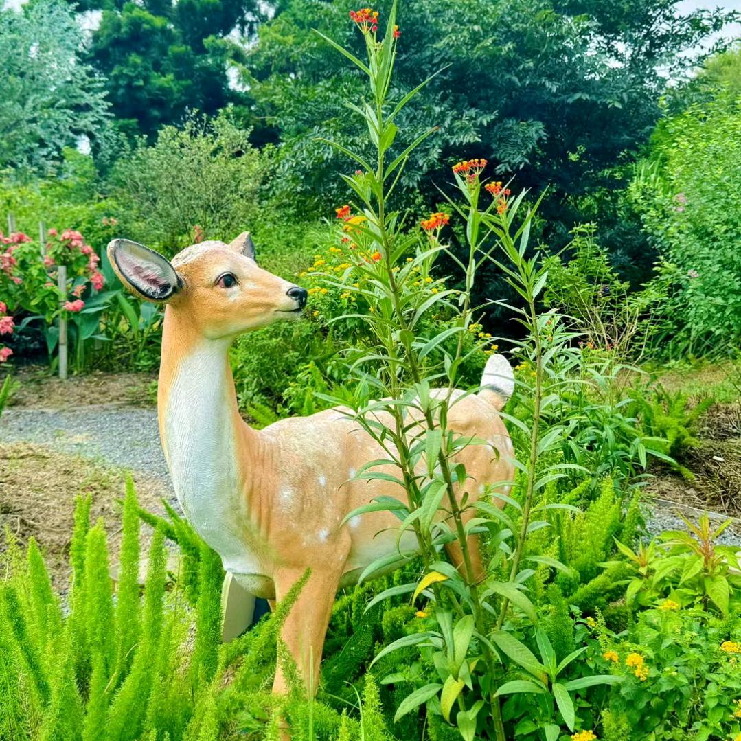 开心美一天哈哈