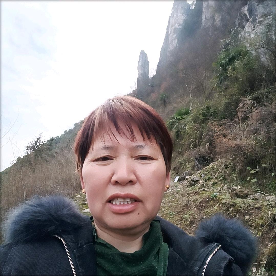 悬崖上的野菊花