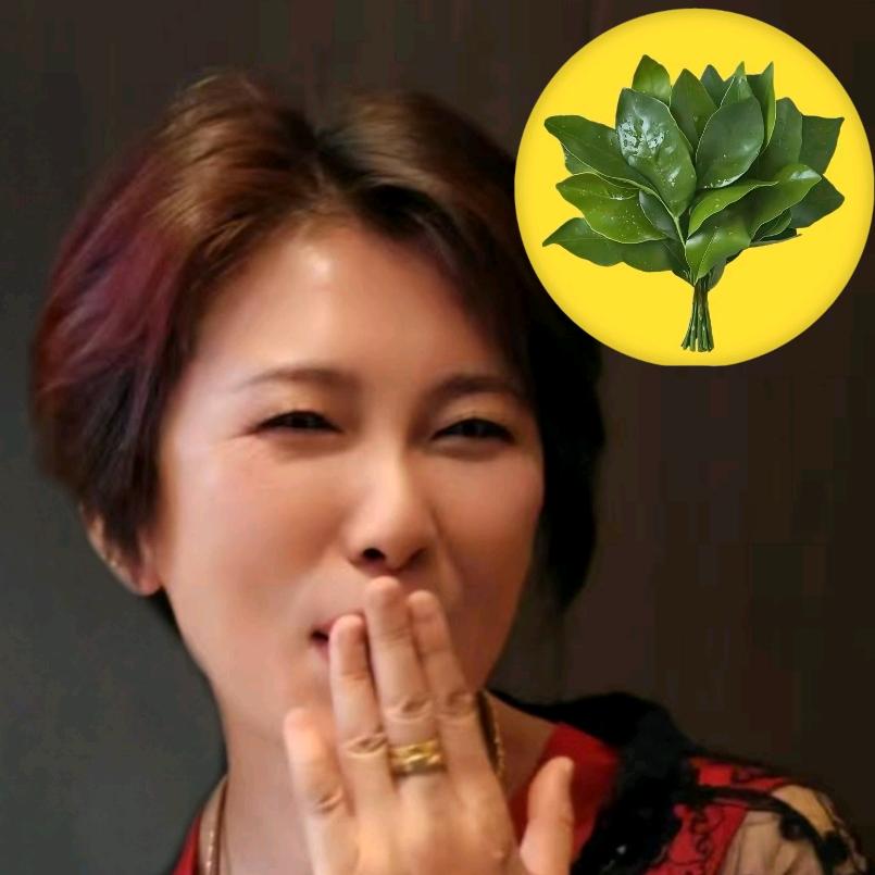 东畔倚盏🤟