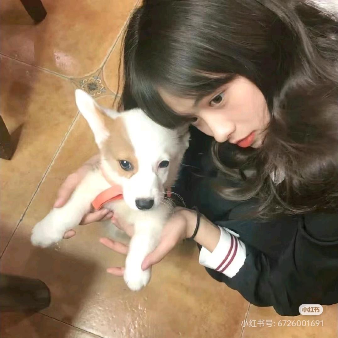 JingYun