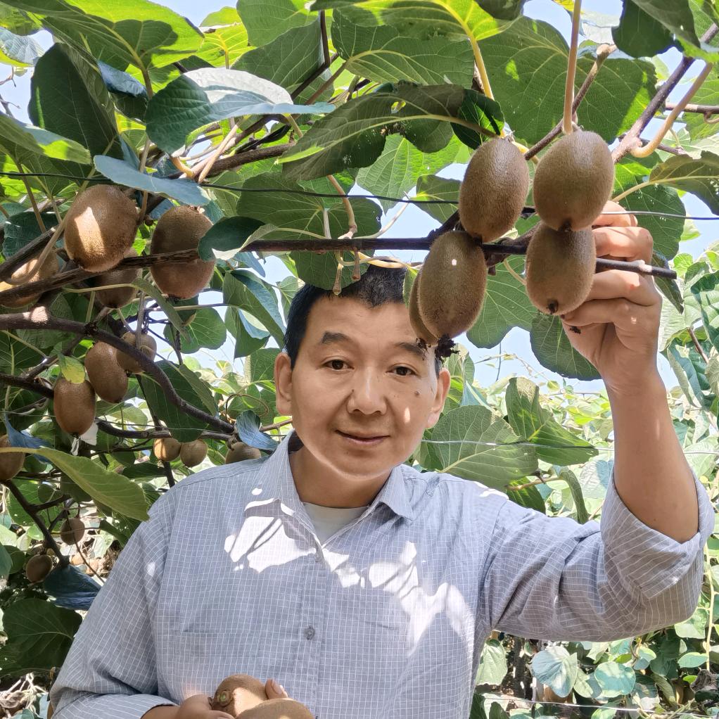 陕西眉县阿杜果园