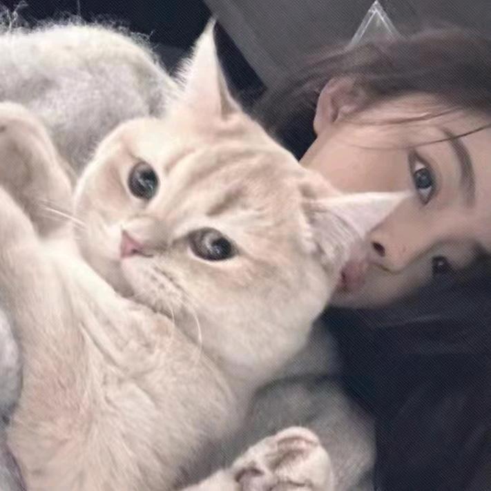 真善美