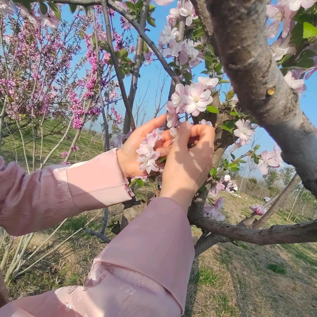 我的一家（感恩）