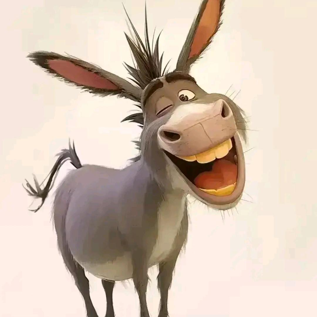 山月归人🧘🏿‍♂️