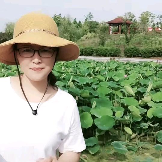 怀素(百货橱窗)