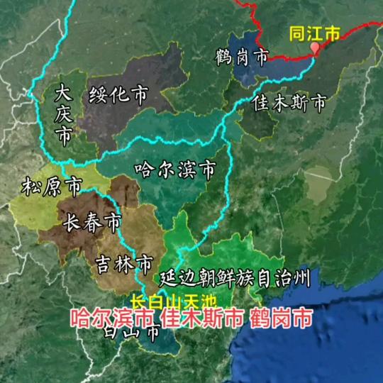小鱼哥淡水鱼
