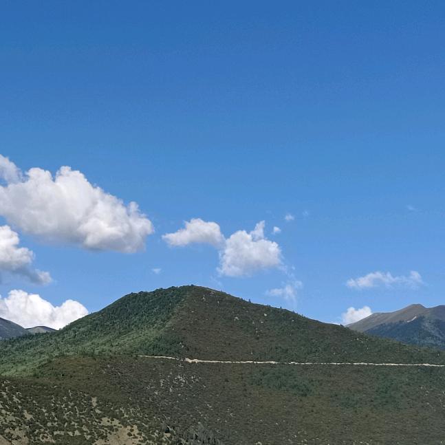 汕德卡_林芝总经销。