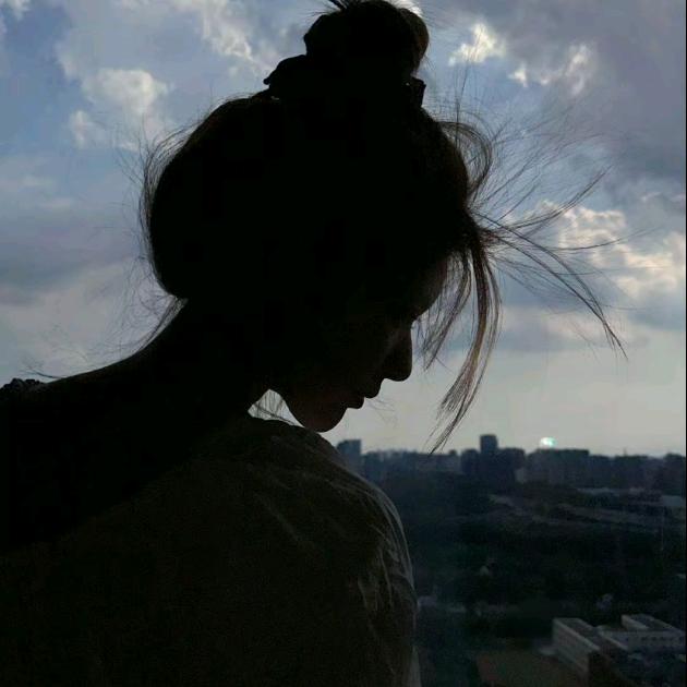 一只婉