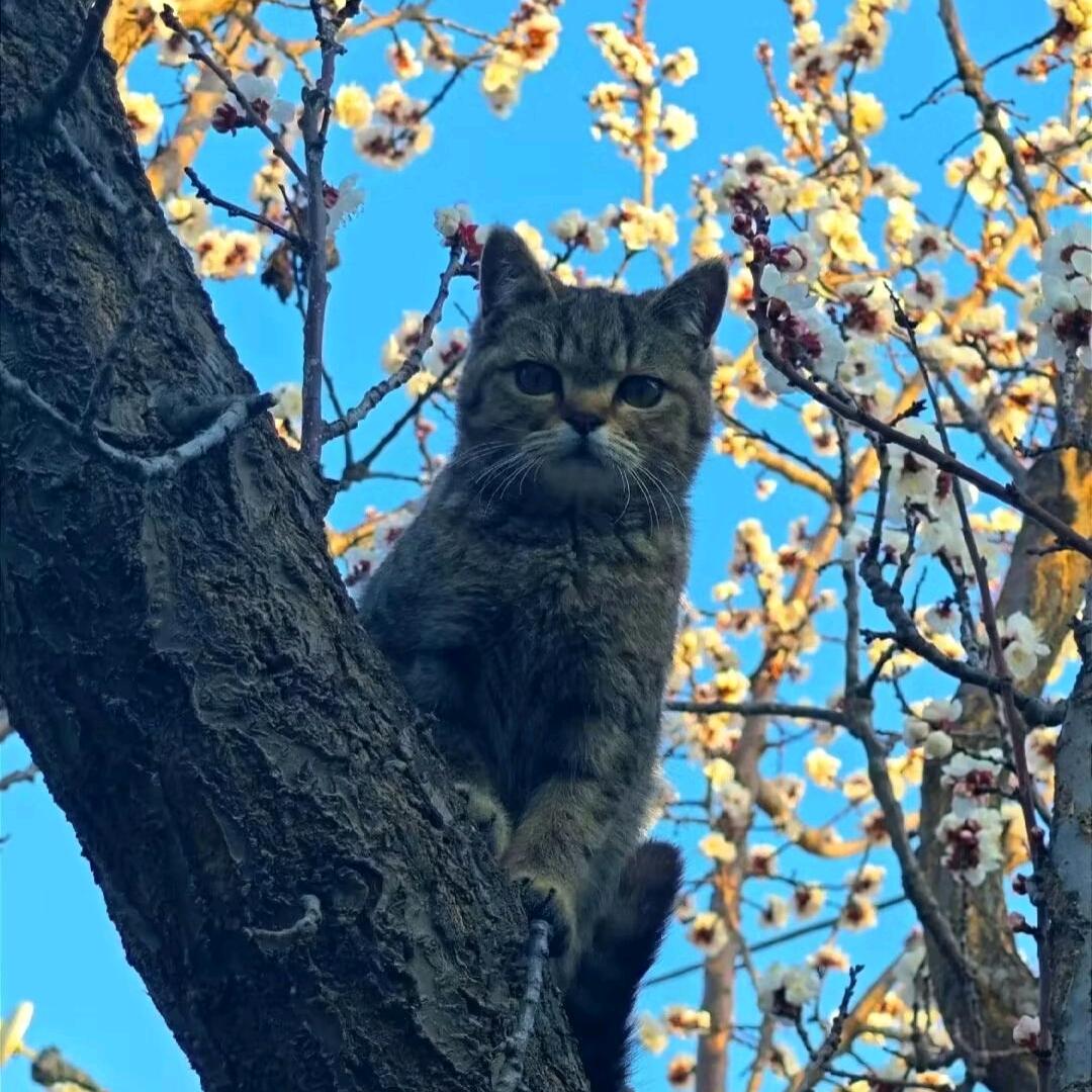 海原 vivo 体验店-伊莎