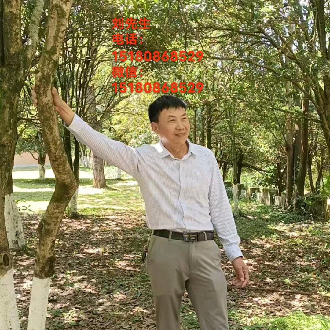 相遇是缘
