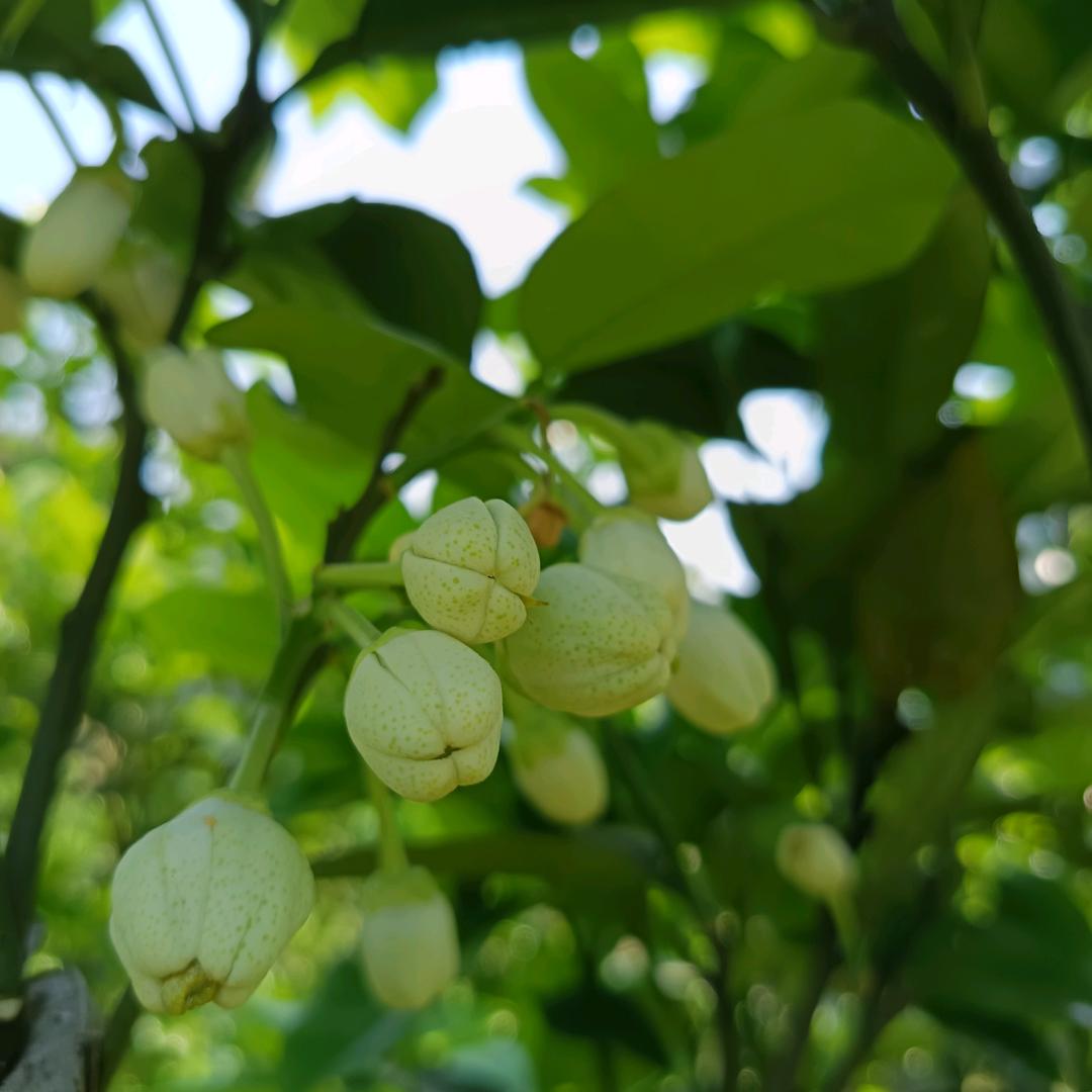 小回忆😘😘😘