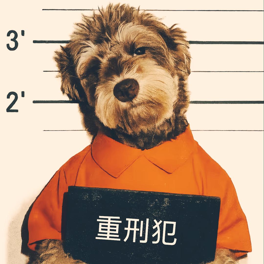 🍍菠萝味达芬🥤