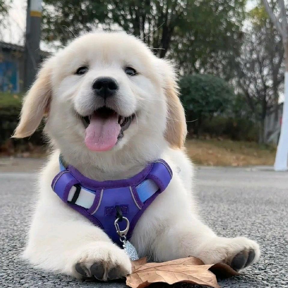 帮我睡觉😪