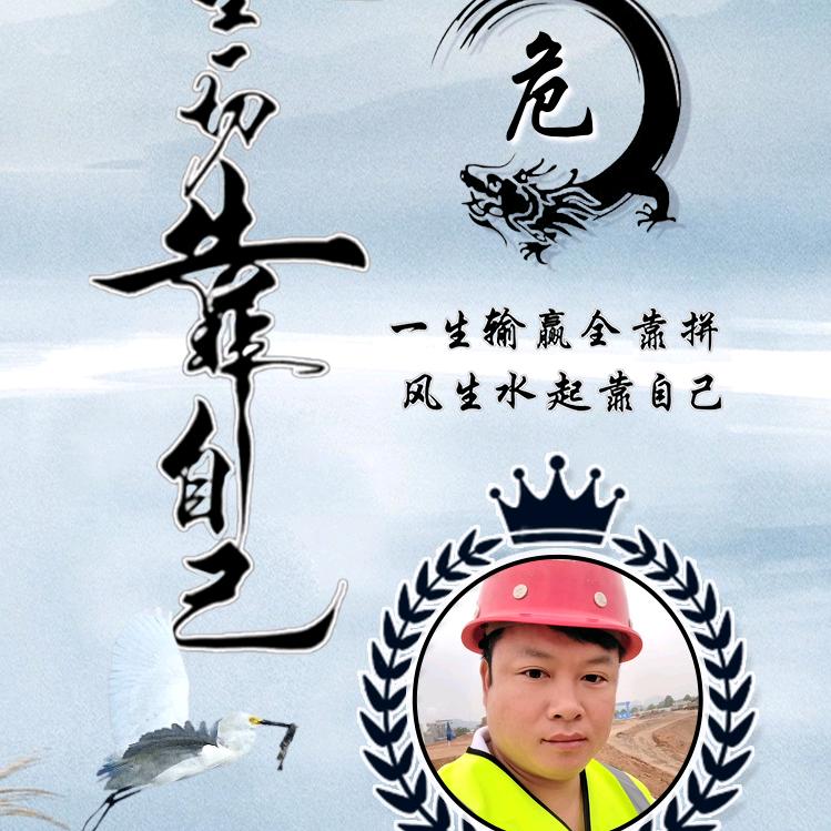 飞龙再生
