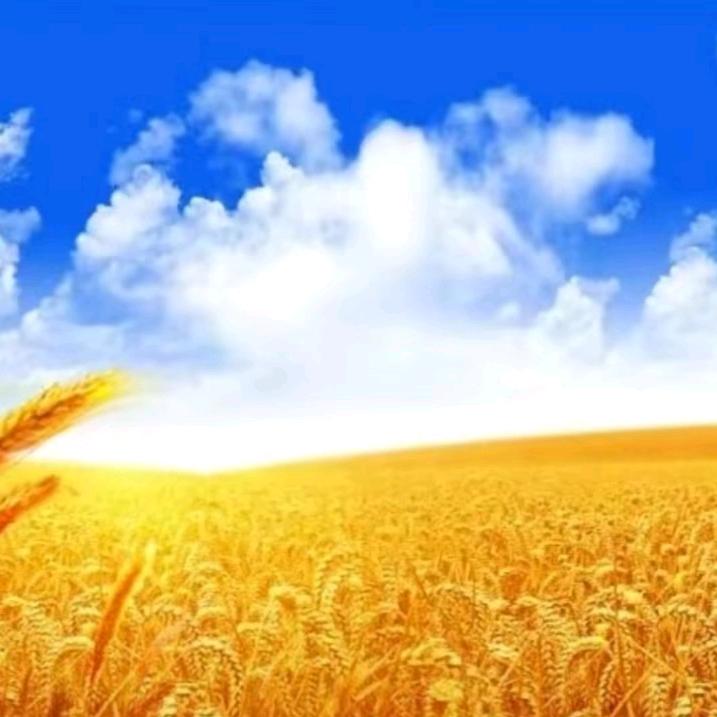 ꧁❀幸福杨溢❀꧂