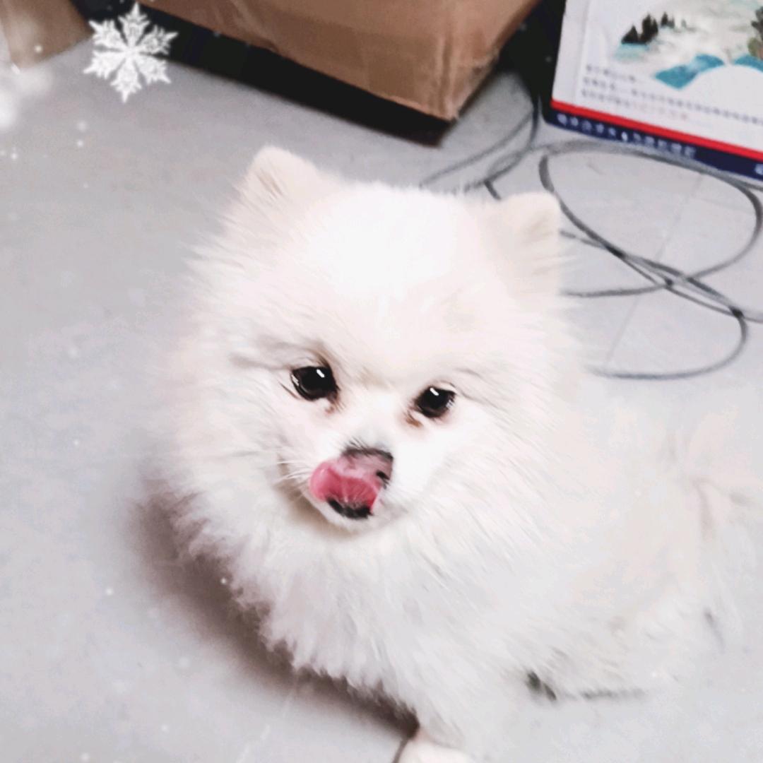 健康人参馆