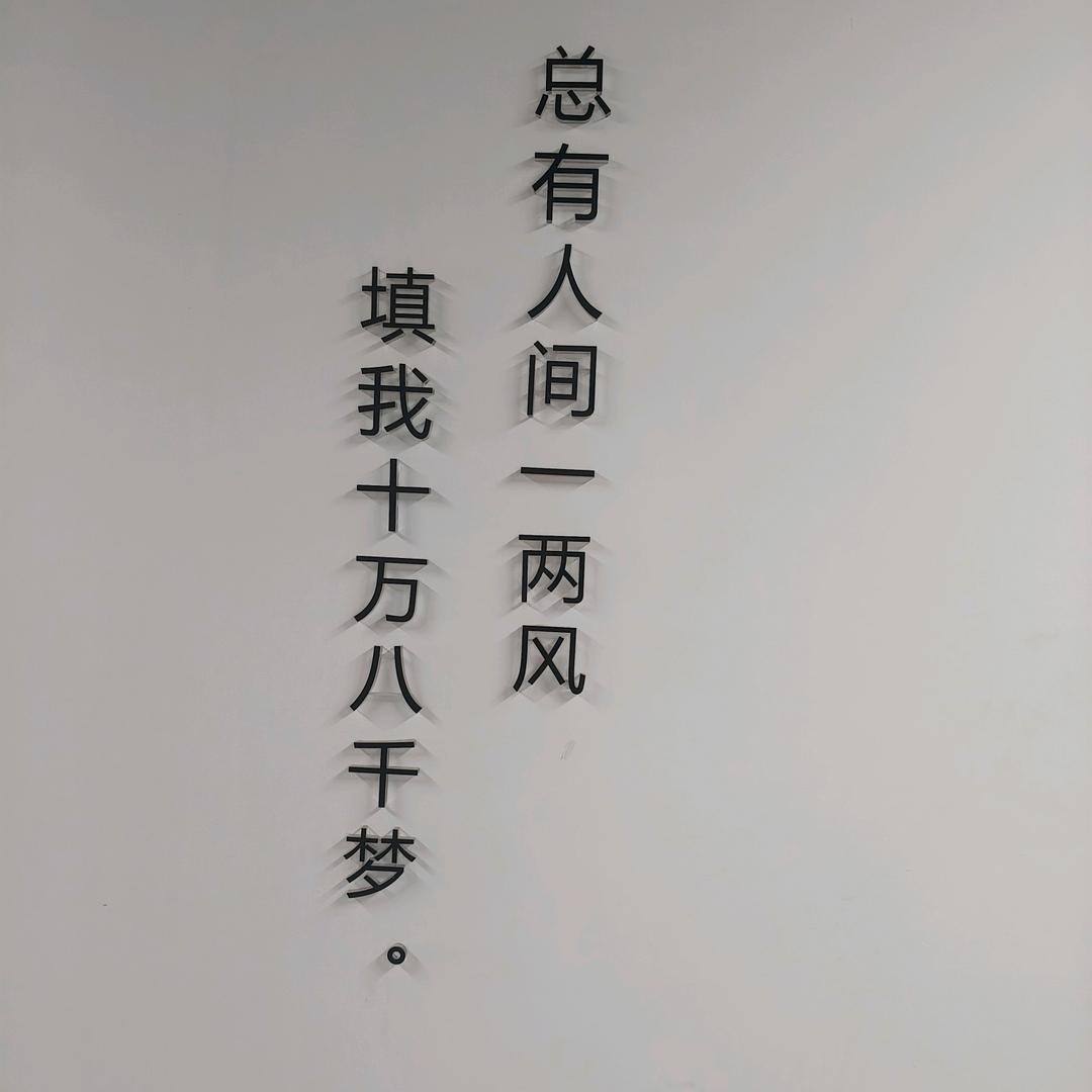 💕軟甜💕大懒猫᭄ꦿ໌້ᮨ