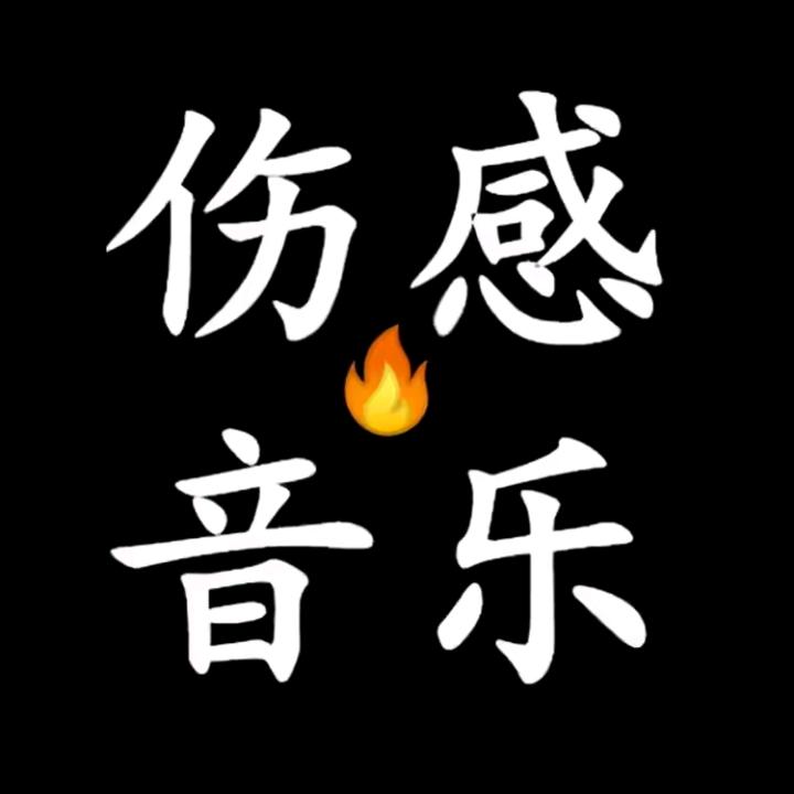 伤感音乐🔥