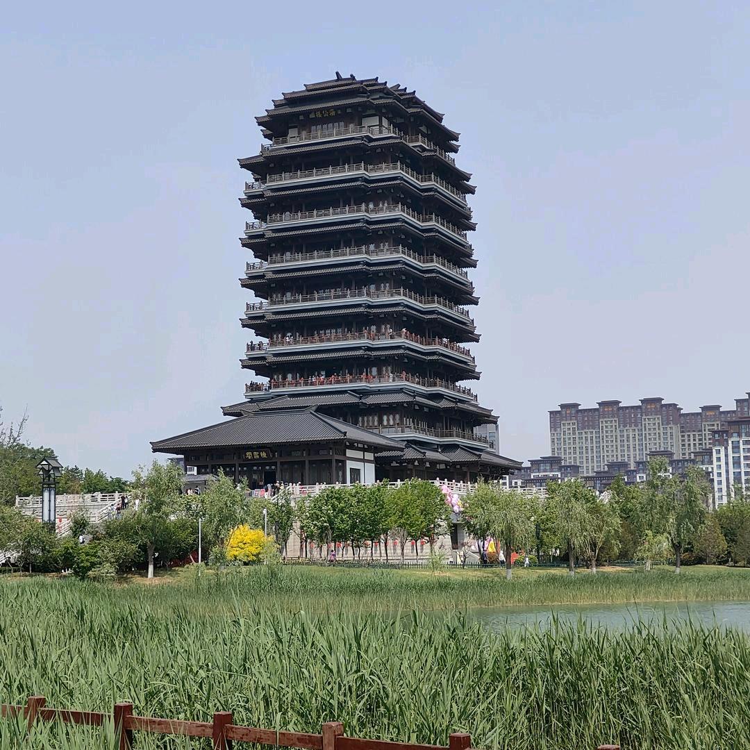淄博朝闻|