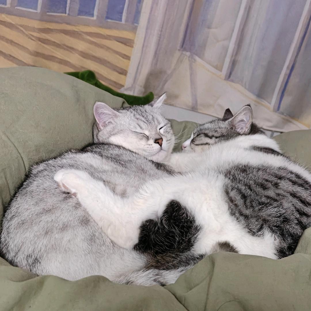 好一朵美丽的大奇葩