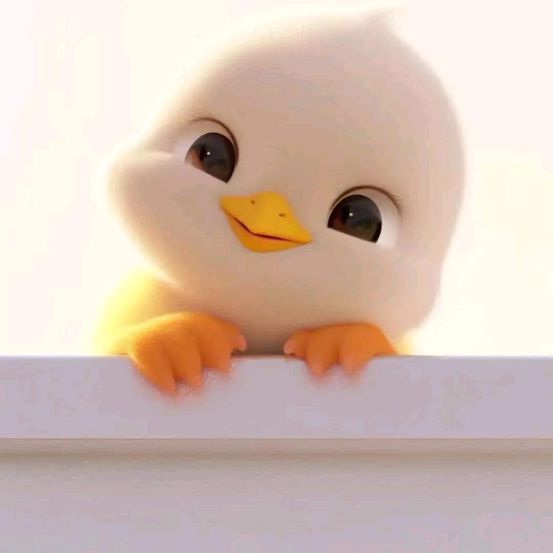 @老明蛋子(๑><๑）