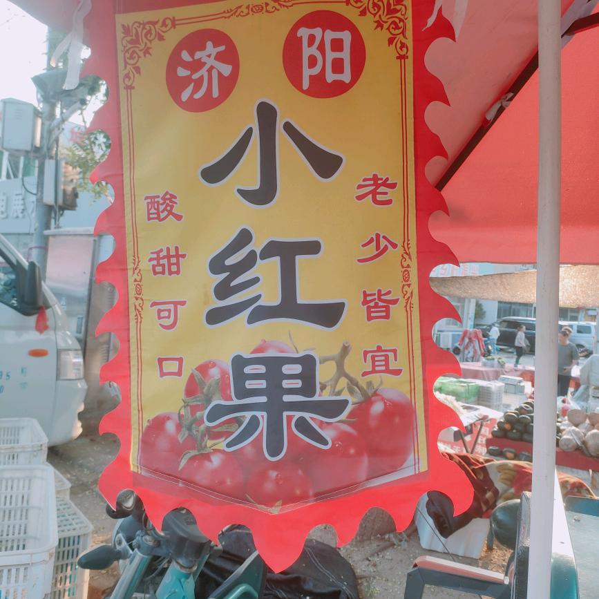 济阳产地。小红果蔬菜批发。