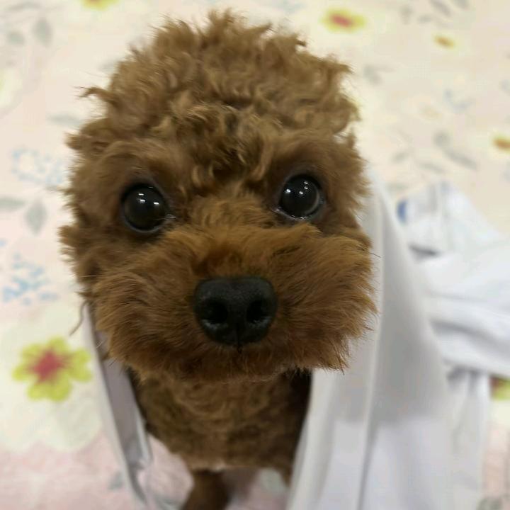冷敷