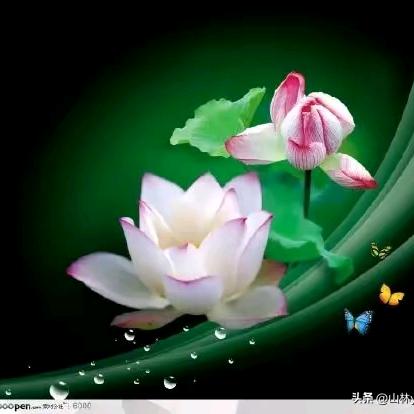 无缘不聚